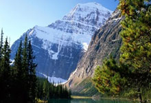 关于门兴主场逆转晋级历史性一刻的信息